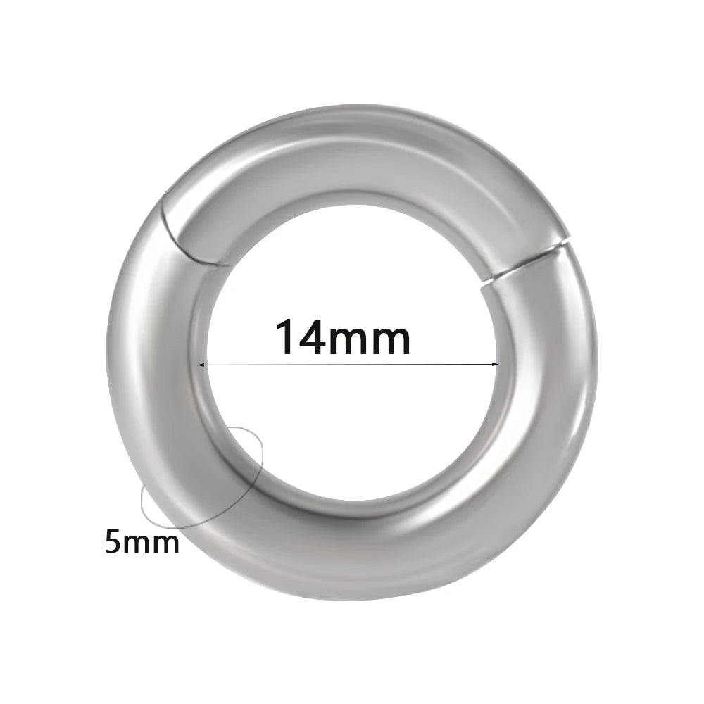1PC Surgical Steel Septum Clicker Segment Hinged Ring Nose Eyebrow Lip Hoop Ear Cartilage Tragus Helix Ear Lobe Piercing Jewelry