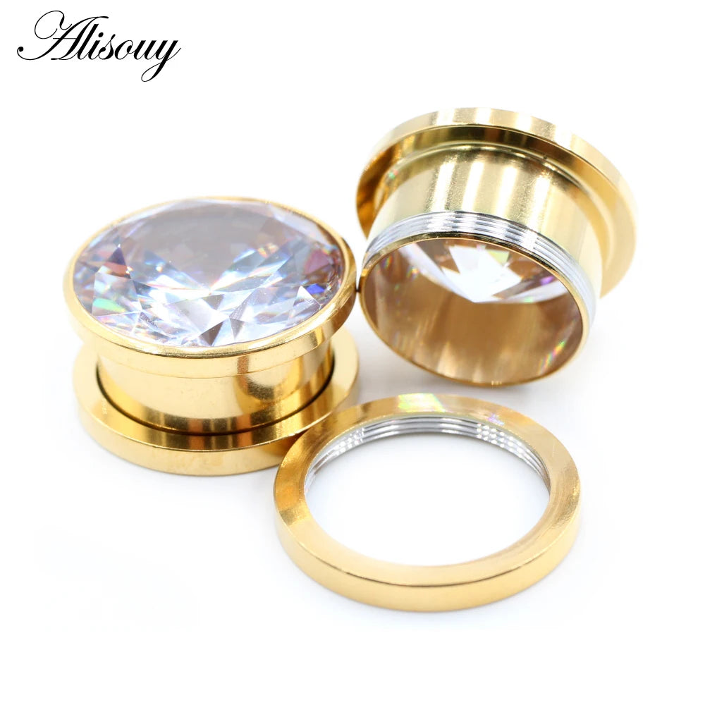 Alisouy 2pcs Stainless Steel Zirconia Crystal Screw Ear Tunnels Plugs Expander Stretcher Gauges Earrings Body Piercing Jewelry