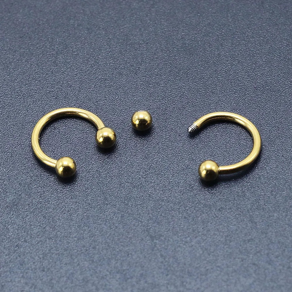 2 Pcs Stainless Steel Nostril Nose Ring Lip Rings Earrings Circular Piercing Ball Horseshoe Hoop Ring Piercing Body Jewelry