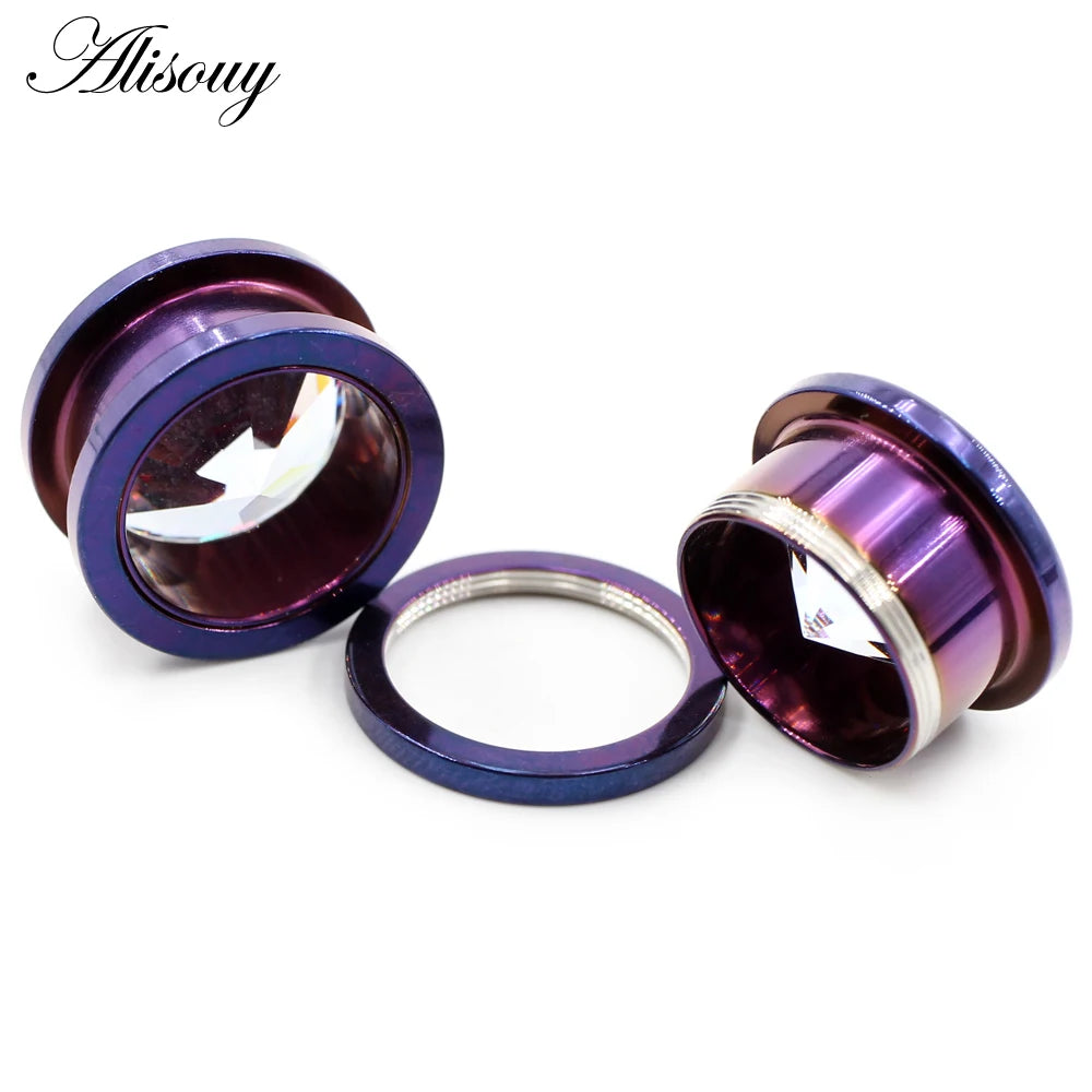 Alisouy 2pcs Stainless Steel Zirconia Crystal Screw Ear Tunnels Plugs Expander Stretcher Gauges Earrings Body Piercing Jewelry