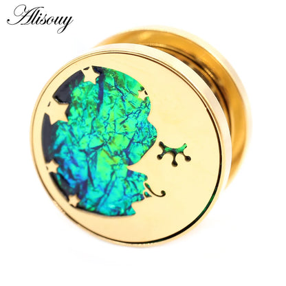 2PCS Stainless Steel Star Moon Sun Skull Cat Butterfly Ear Gauges Tunnels Plugs Expander Stretcher Piercing Body Jewelry