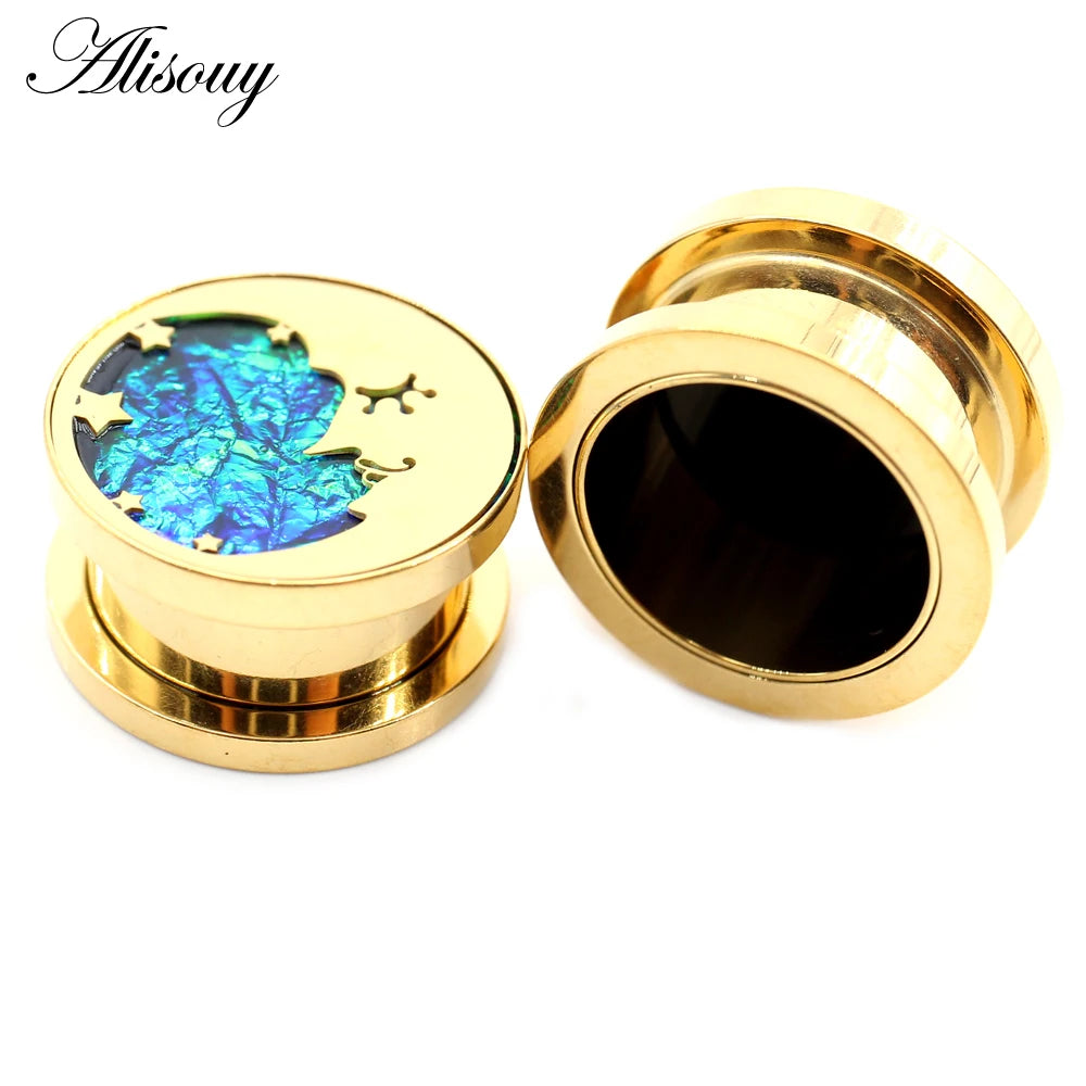 2PCS Stainless Steel Star Moon Sun Skull Cat Butterfly Ear Gauges Tunnels Plugs Expander Stretcher Piercing Body Jewelry